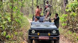 jungle safari images